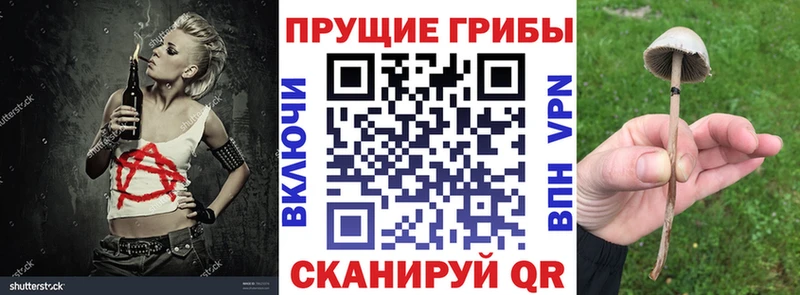 где продают наркотики  ссылка на мегу зеркало  Галлюциногенные грибы мухоморы  Александровское 