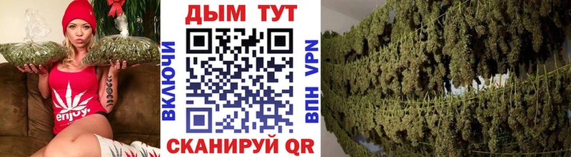 Бошки марихуана VHQ  купить наркотики сайты  Александровское 